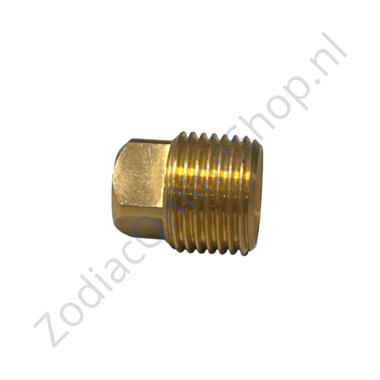 Z2738-plug - bujão para fundo duplo RIB D20,5 mm